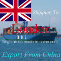 Seefracht-Versand von China nach London, Vereinigtes Königreich Großbritannien